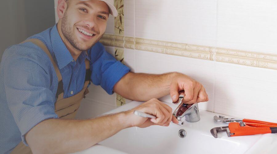 Professional Leak Detection Services services in Cropsey, IL